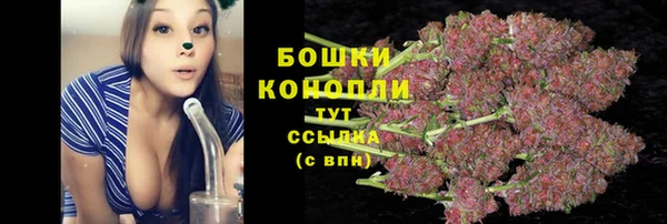 эйфоретик Баксан